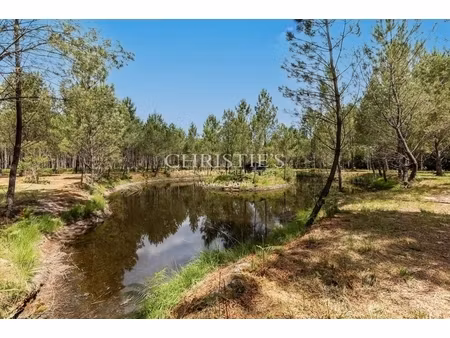 annonce maison à vendre