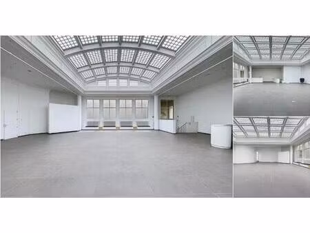 surface industrielle à vendre à rue de l'hôtel des monnaies 66 saint-gilles (vbd79784)