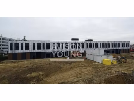 local d'activite a louer