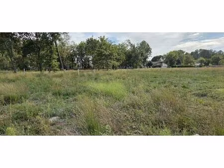 vente maison à construire 70 m² labouheyre (40210)