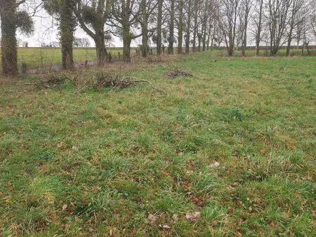 vente terrain 1390 m² châteaugiron (35410)