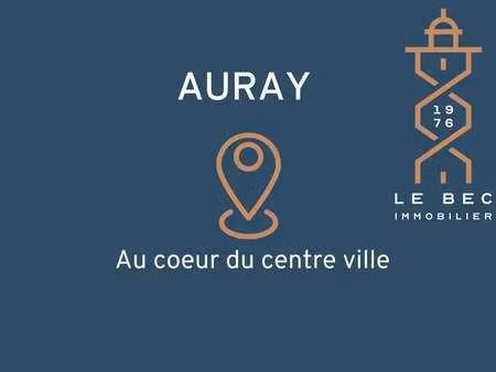 vente bureaux et commerces à auray (56400) : à vendre / 43m² auray