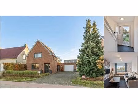 maison à vendre à molenstraat 88 lommel (rbv11809)