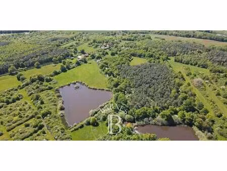 propriété lusigny (03)