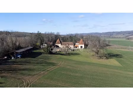 vente maison 10 pièces 500 m² lembeye (64350)
