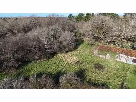 vente terrain à la garnache (85710) : à vendre / 7262m² la garnache