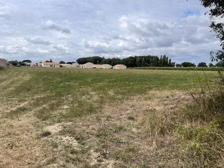 vente terrain à montbert (44140) : à vendre / 378m² montbert