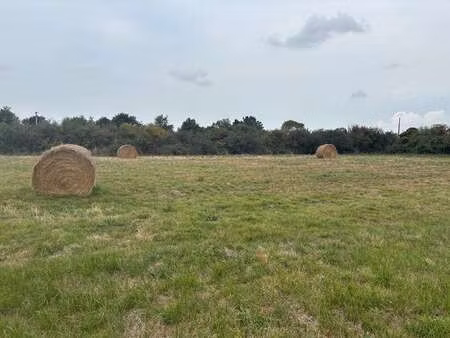 vente terrain à saint-urbain (85230) : à vendre / 438m² saint-urbain