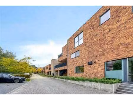 spacieux duplex 3 chambres