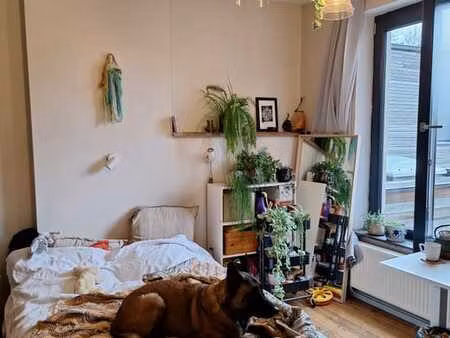 chambre dans maison en colocation salzinnes