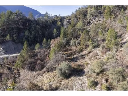 terrain 34589 m² puget theniers