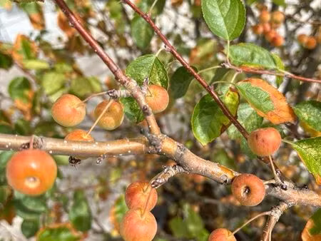 recherche foncier agricole