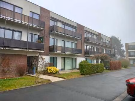 appartement 3 chambres entièrement rénové