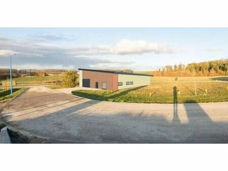 local d'activités à vendre