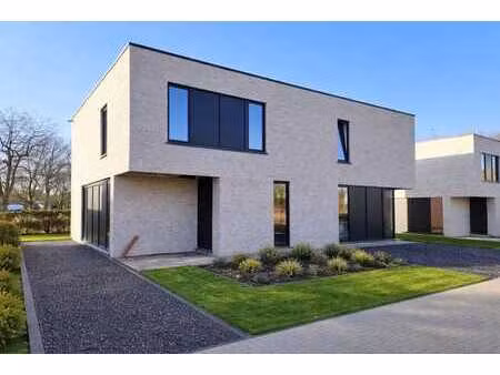 vente - maison riemst