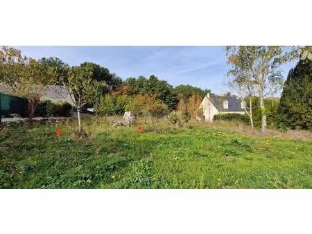 terrain constructible viabilisé à vendre