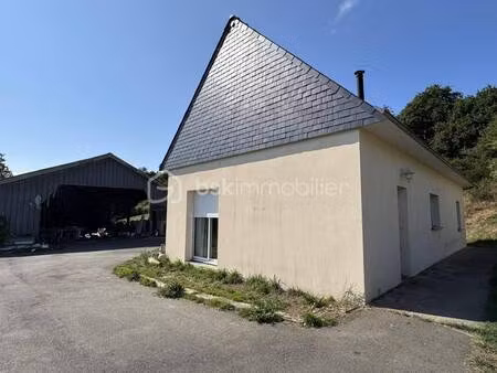 yannick guenec bsk immobilier