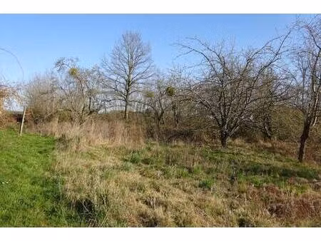 terrain constructible à vendre