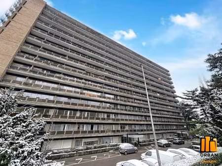 appartement deux chambres + terrasse avec magnifique vue