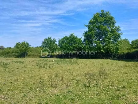 terrain constructible viabilisé à vendre