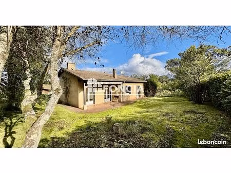 maison individuelle avec jardin arboré au calme
