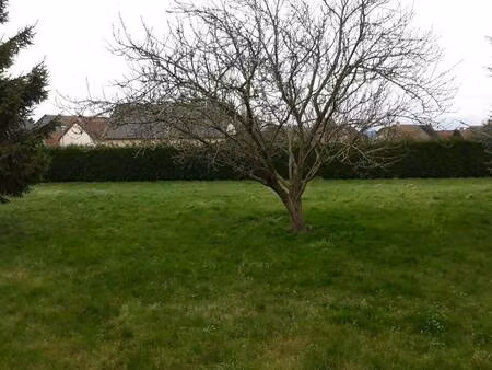 terrain constructible à vendre