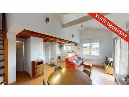 mone rosine immobilier