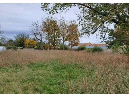 terrain constructible à vendre