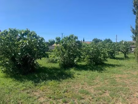 terrain constructible viabilisé à vendre