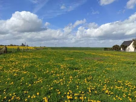 terrain constructible à vendre