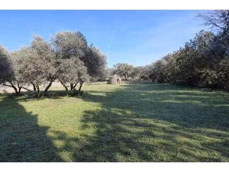 yoann cottavoz expertimo