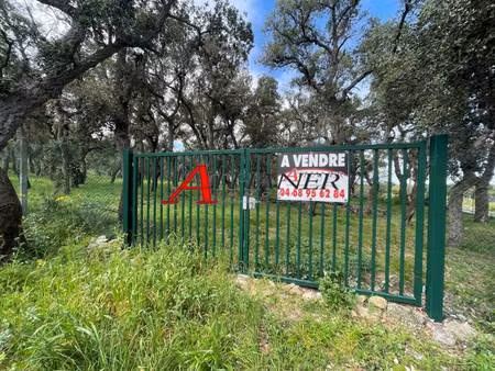 terrain à vendre