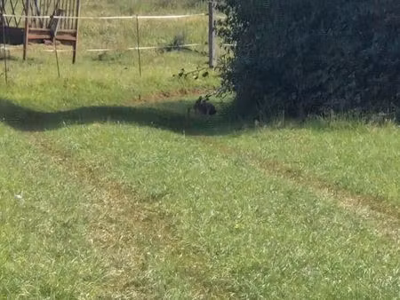cherche terrain ou hangar agricole