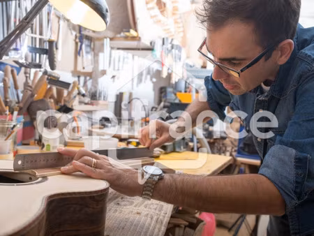 local professionnel à vendre macon 1 pièce(s) 733m2 775 000€