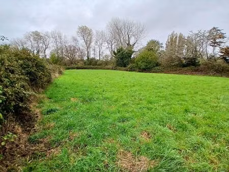 terrain constructible viabilisé à vendre