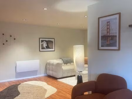 appartement 2 pièces type loft meublé ou non