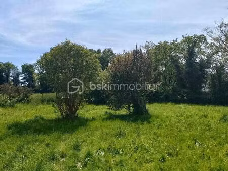 terrain constructible viabilisé à vendre