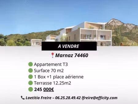 efficity laetitia freire