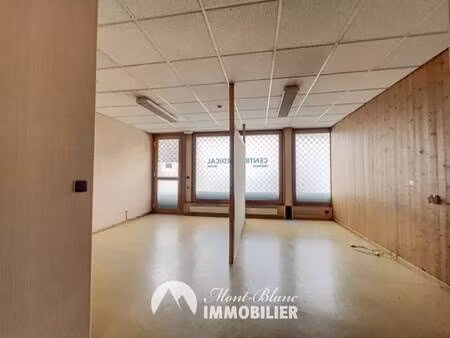 mont blanc immobilier