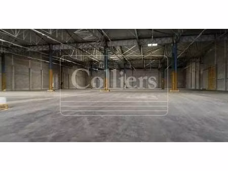 entrepôt à louer
