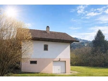 l'edelweiss immobilier