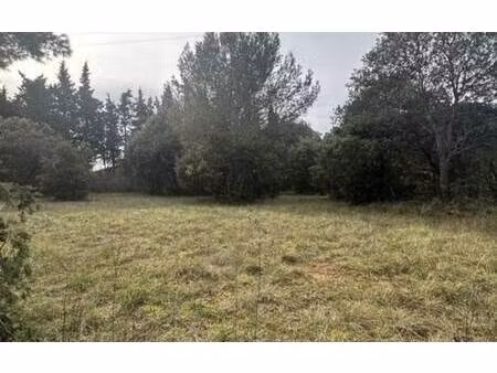 terrain constructible viabilisé à vendre