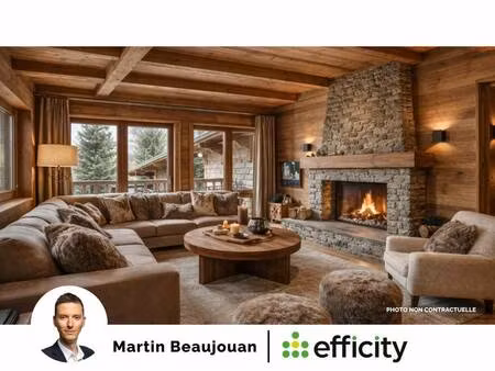 efficity martin beaujouan
