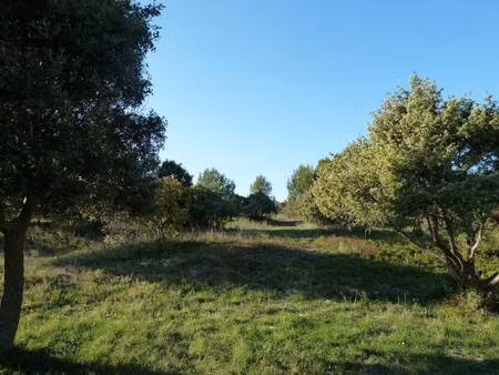 terrain constructible viabilisé à vendre