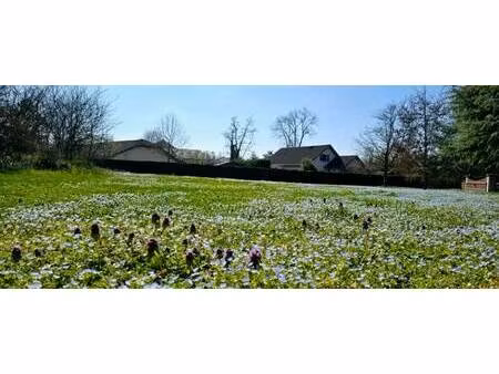 terrain constructible à vendre