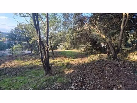 terrain constructible à vendre