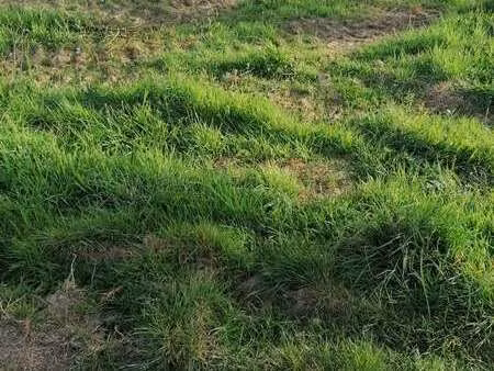 vente terrain à baud (56150) : à vendre / baud