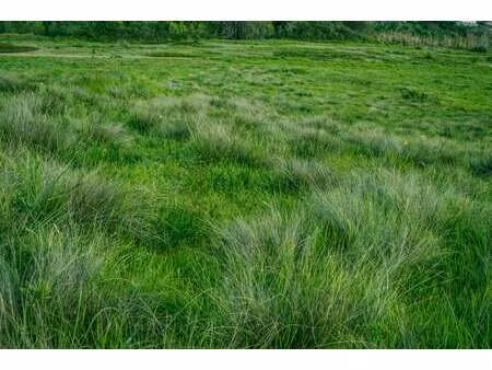 vente terrain à trédion (56250) : à vendre / trédion