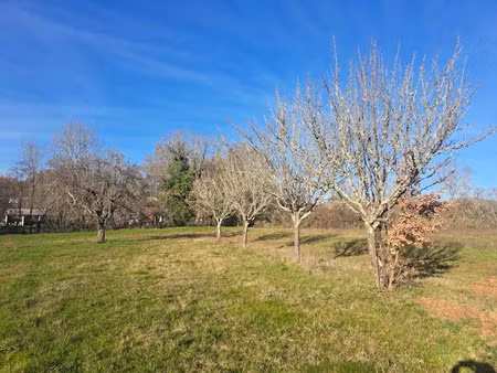 vente terrain à puylaroque (82240)  39 000 €