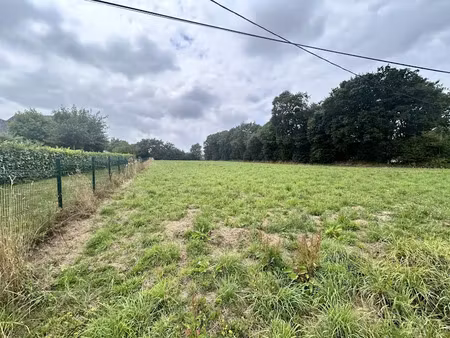 vente terrain 4649 m² à bréhan (56580)  57 000 €